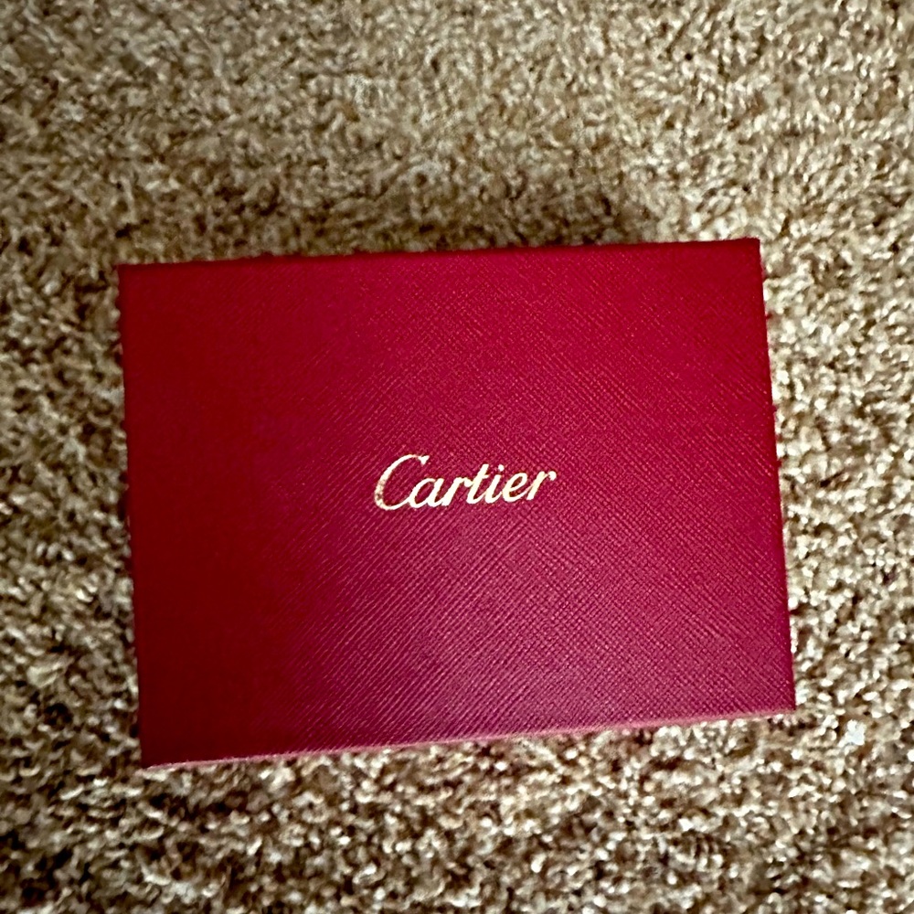 Cartier jewelry clean kit